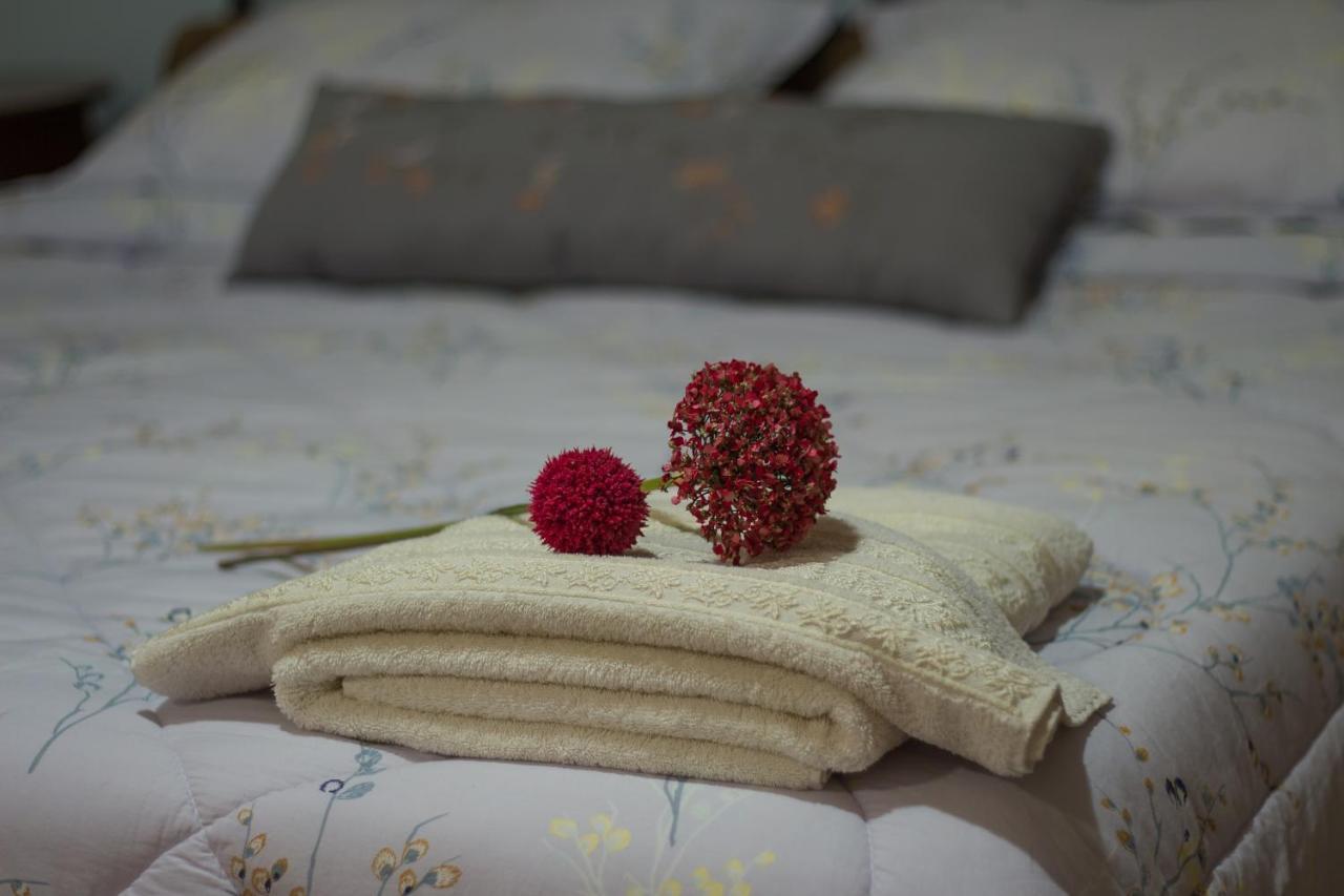 Akrolimnion Hotel Ioánnina Eksteriør bilde